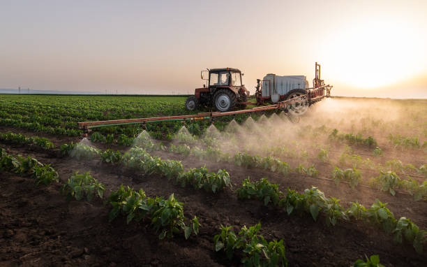 Best Pest Inspection Near Me  in Griswold, IA