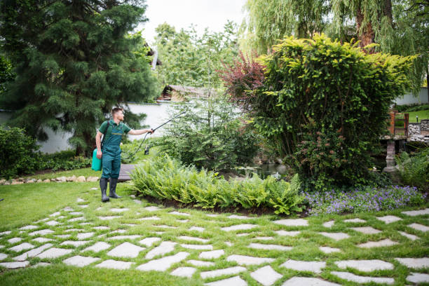 Best Residential Pest Control  in Griswold, IA
