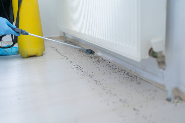 Best Pest Control Near Me in Griswold, IA